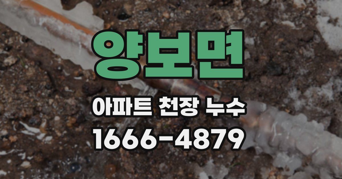 양보면 아파트 천장 누수