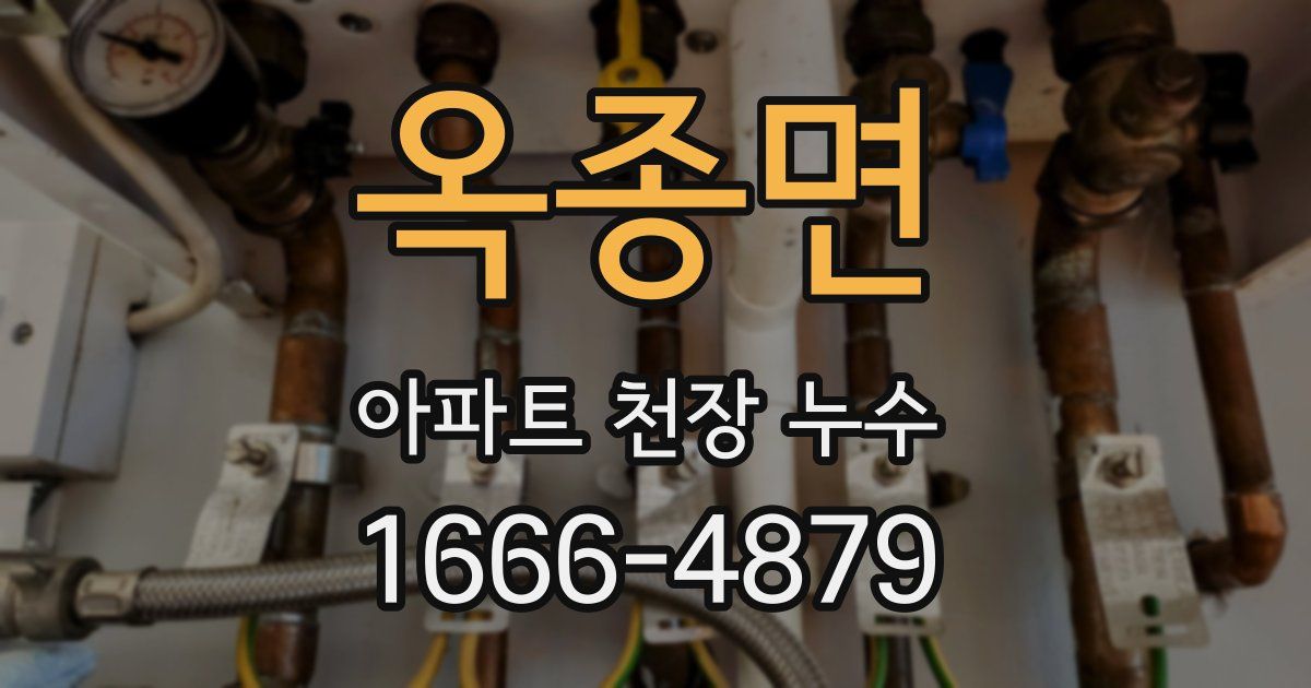 옥종면 아파트 천장 누수
