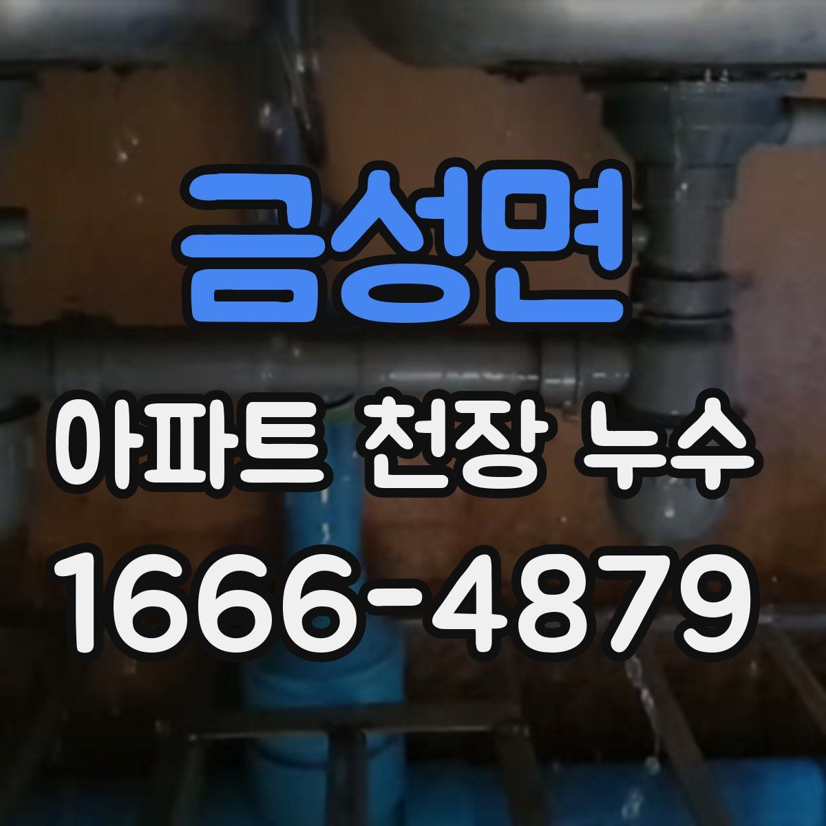 금성면 아파트 천장 누수