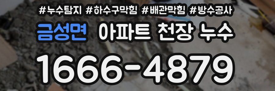 금성면 아파트 천장 누수