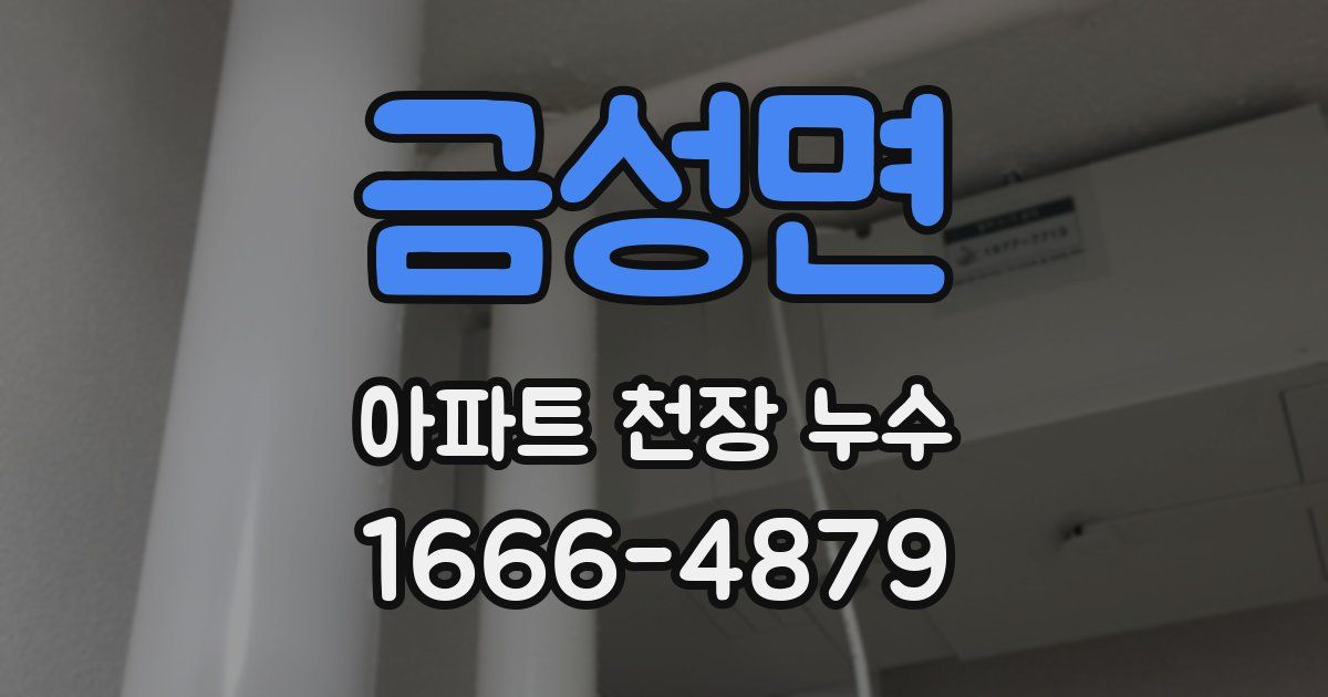 금성면 아파트 천장 누수
