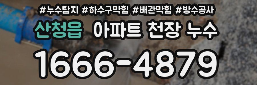 산청읍 아파트 천장 누수