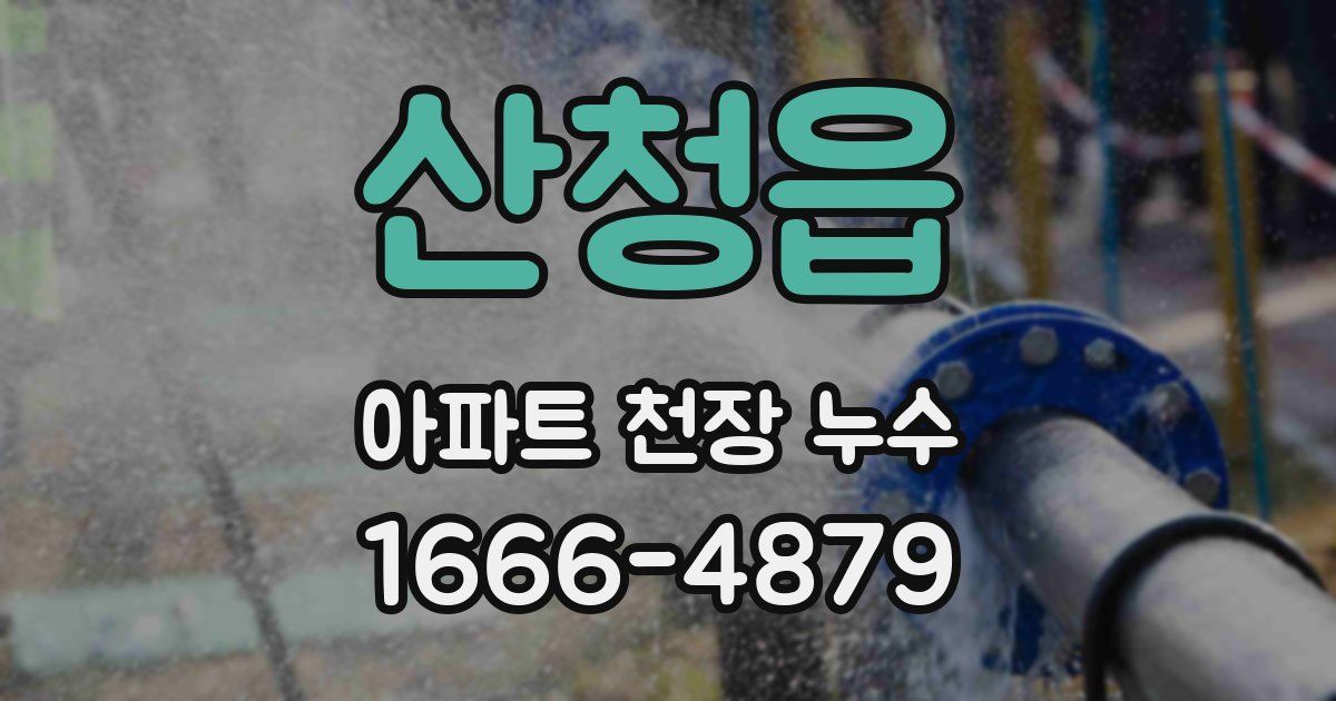 산청읍 아파트 천장 누수