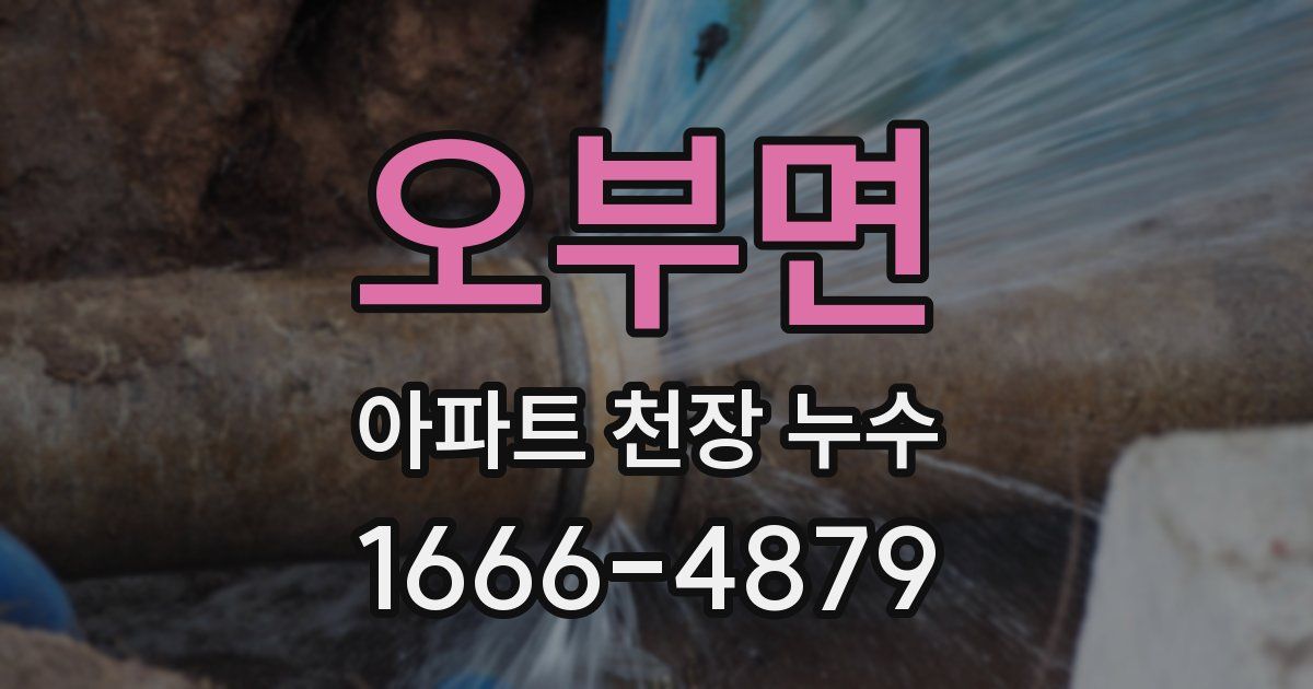오부면 아파트 천장 누수