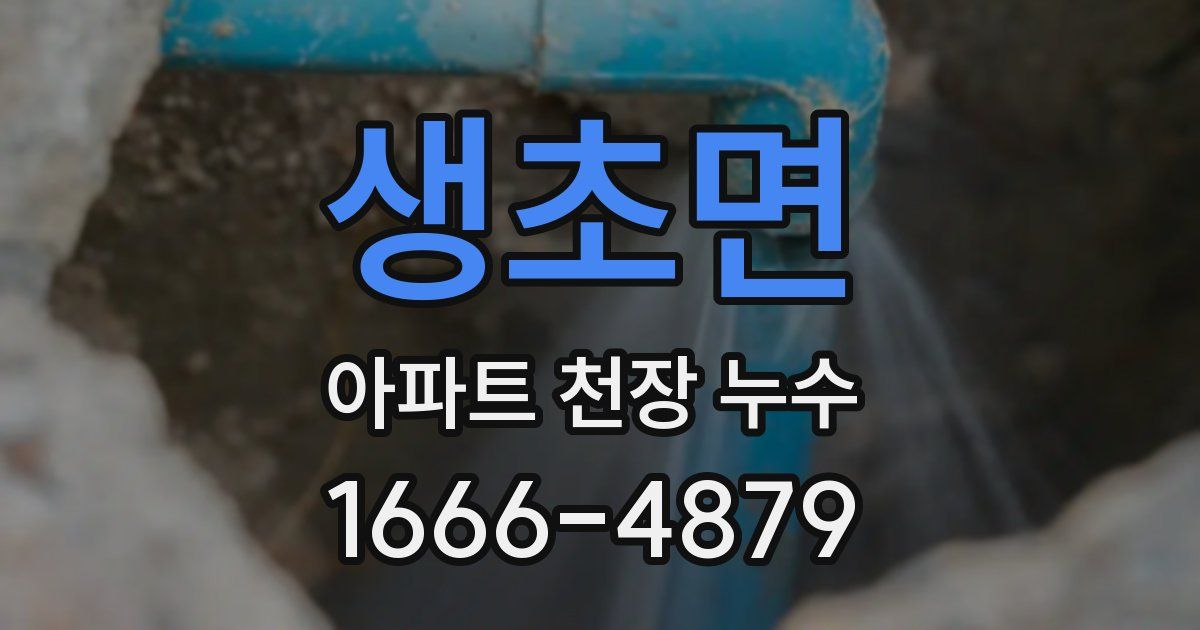 생초면 아파트 천장 누수