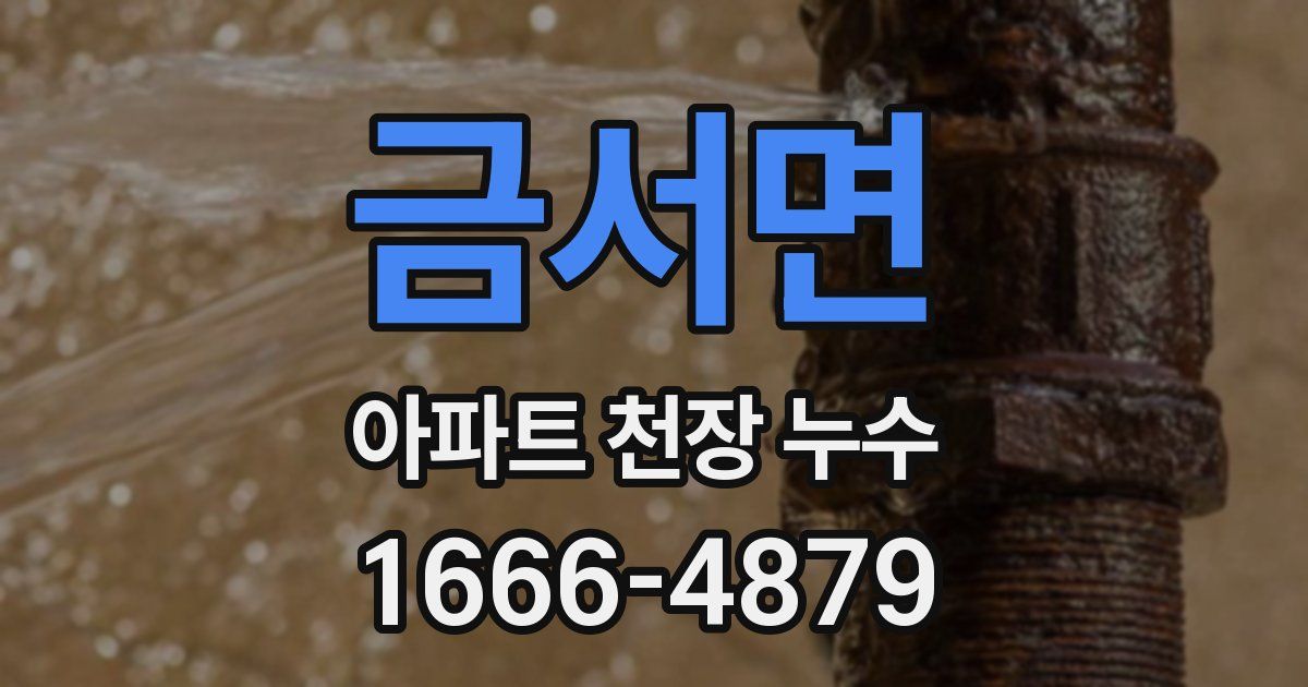금서면 아파트 천장 누수