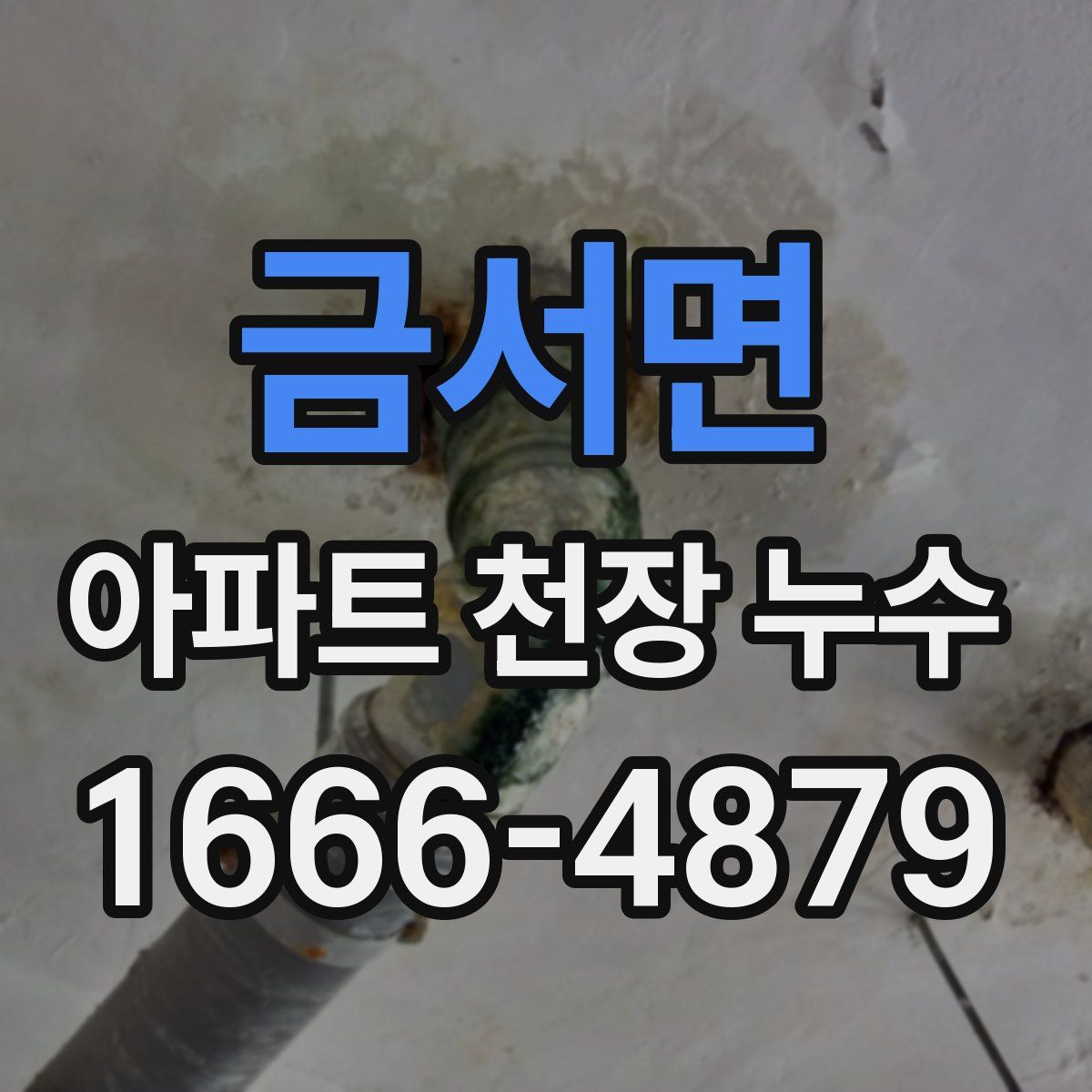금서면 아파트 천장 누수