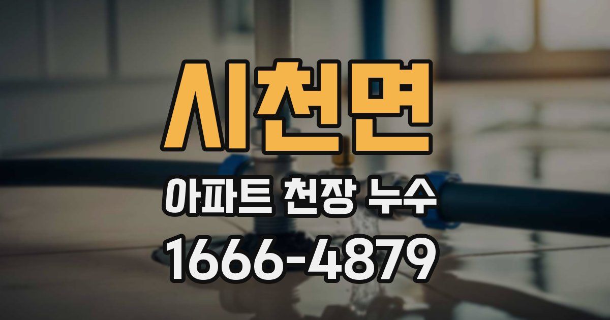 시천면 아파트 천장 누수