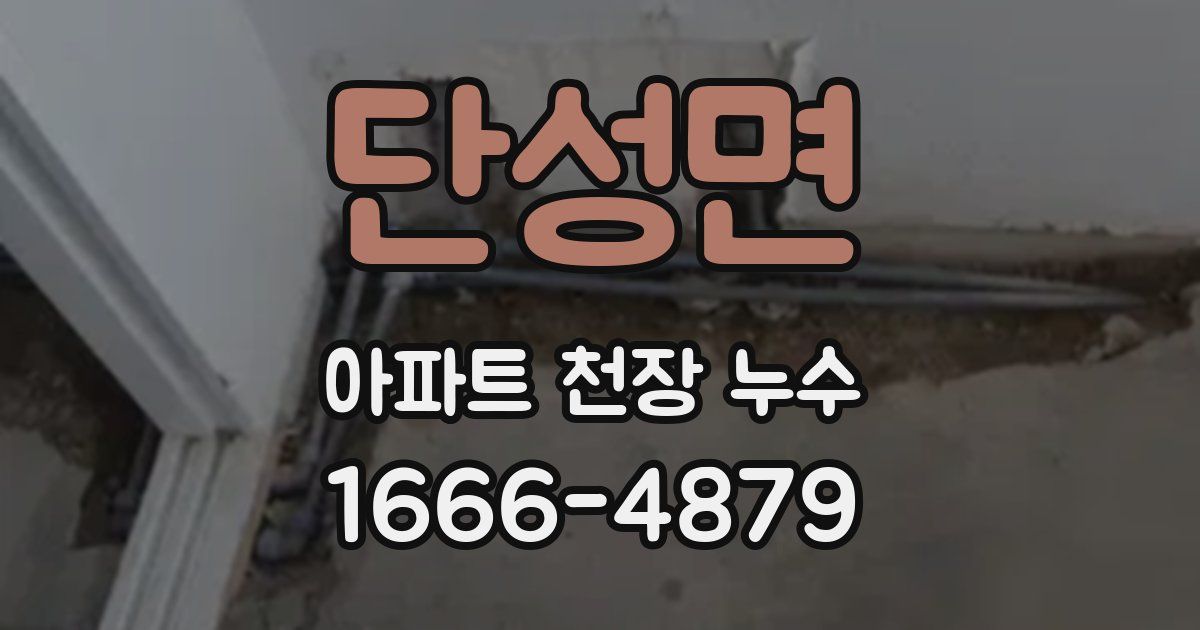 단성면 아파트 천장 누수