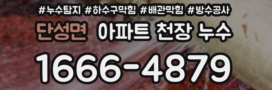 단성면 아파트 천장 누수