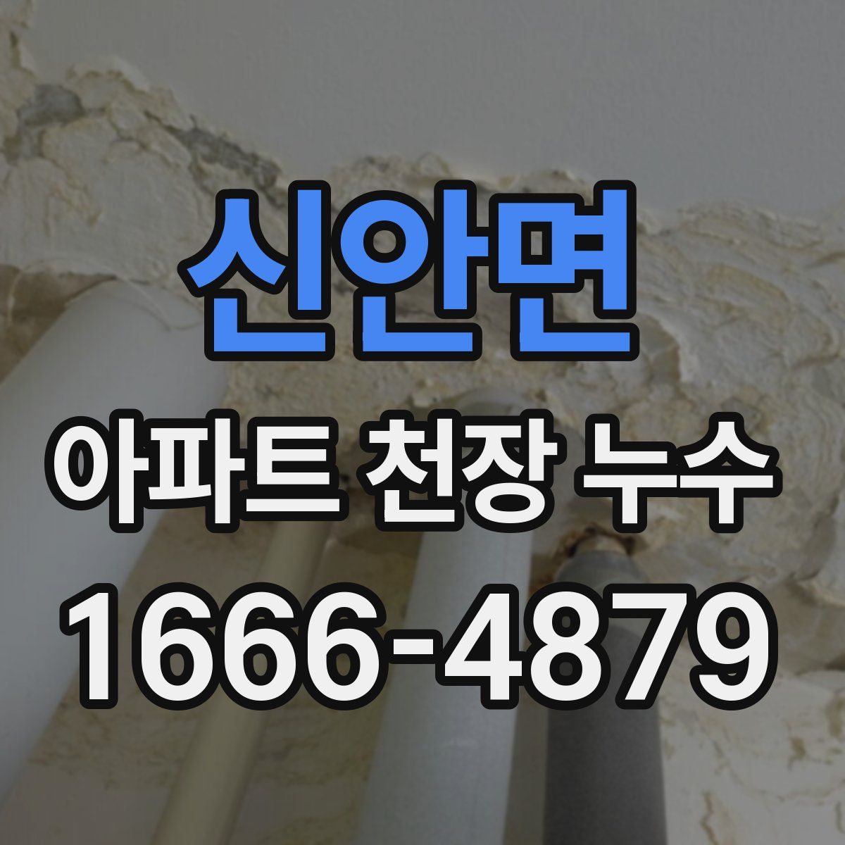 신안면 아파트 천장 누수