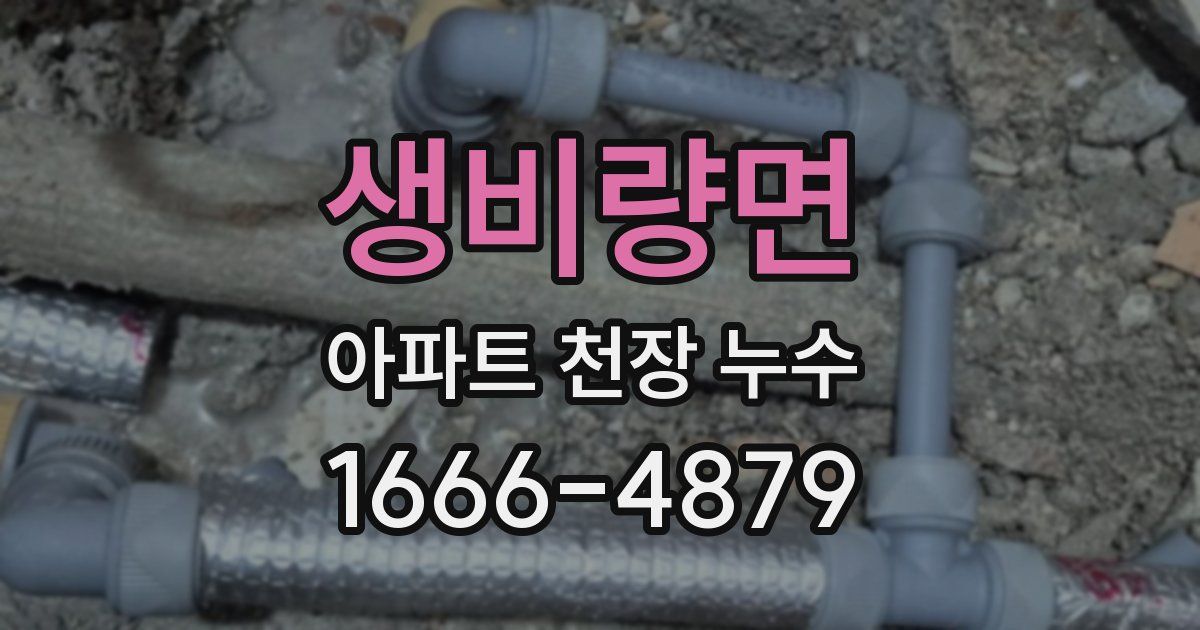 생비량면 아파트 천장 누수