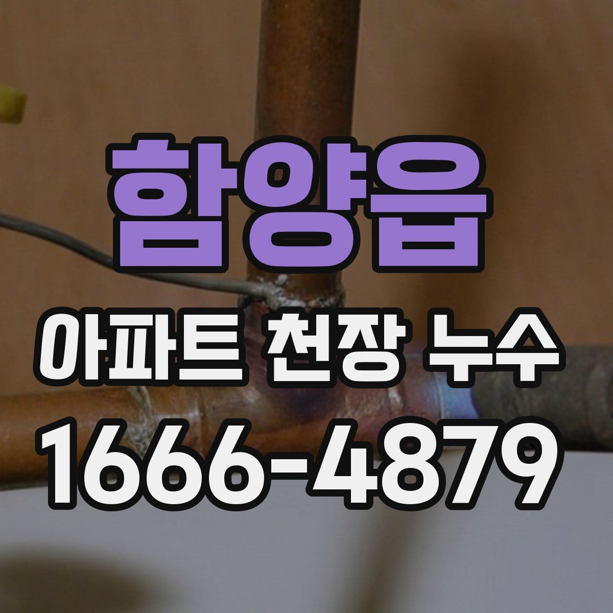 함양읍 아파트 천장 누수