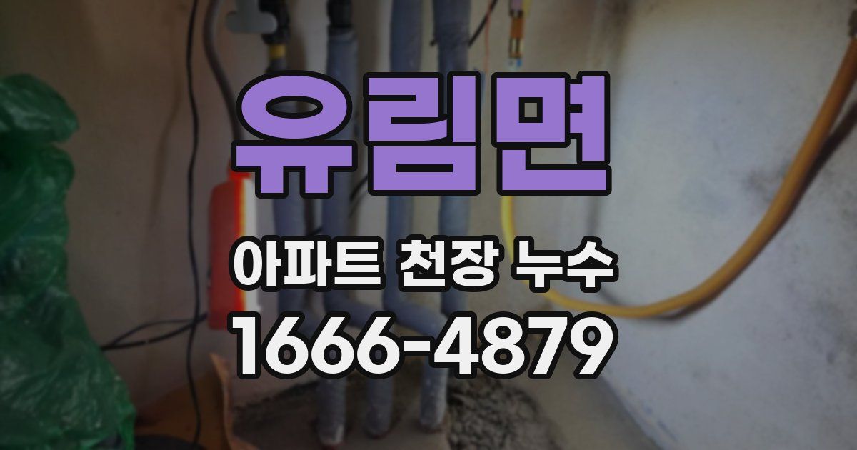 유림면 아파트 천장 누수
