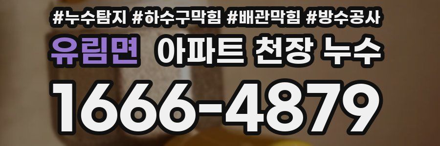 유림면 아파트 천장 누수