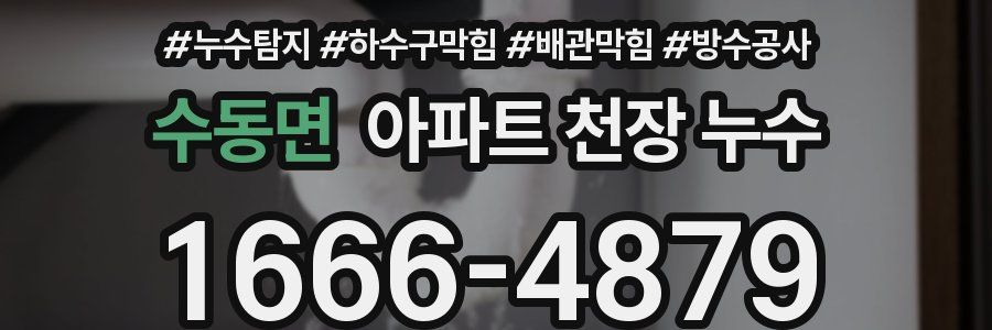 수동면 아파트 천장 누수