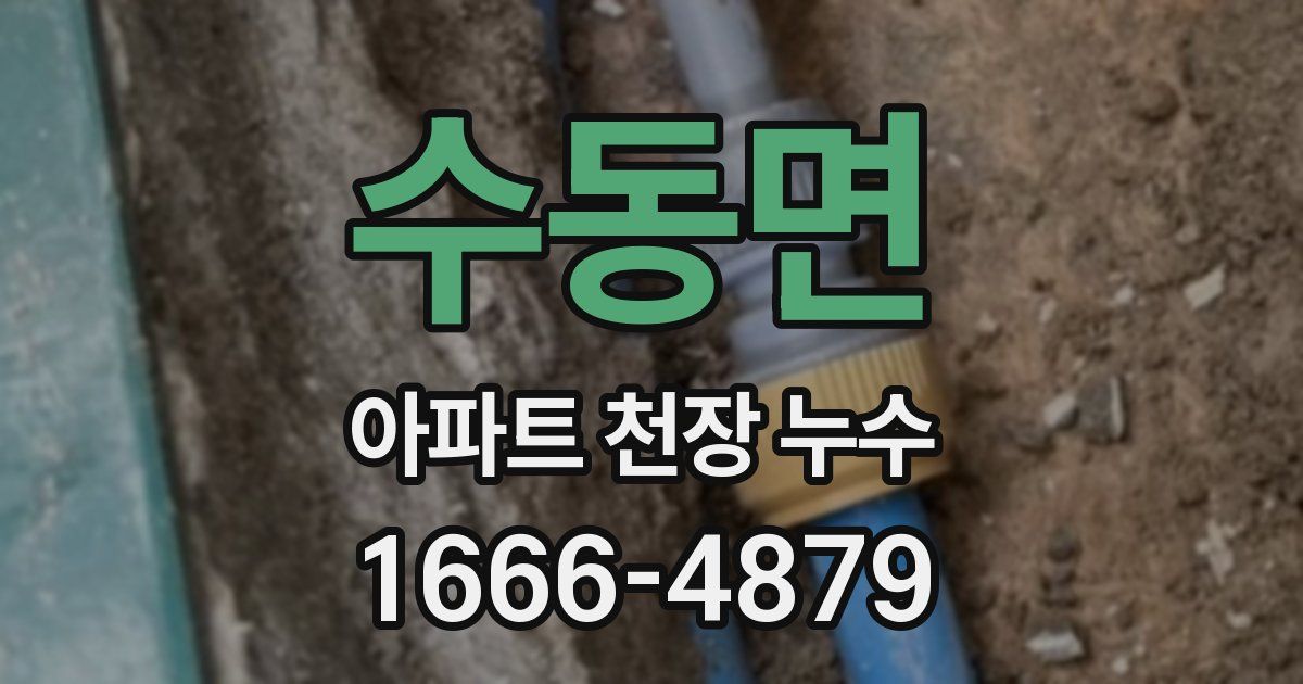 수동면 아파트 천장 누수