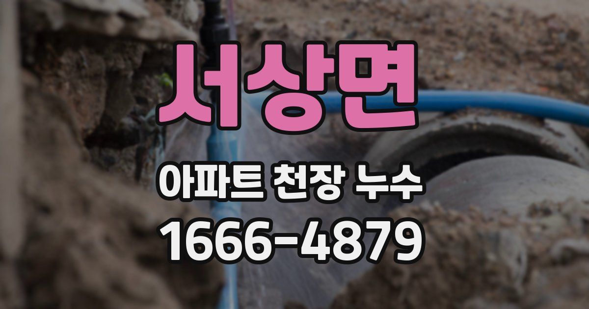 서상면 아파트 천장 누수