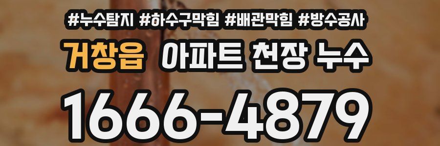 거창읍 아파트 천장 누수