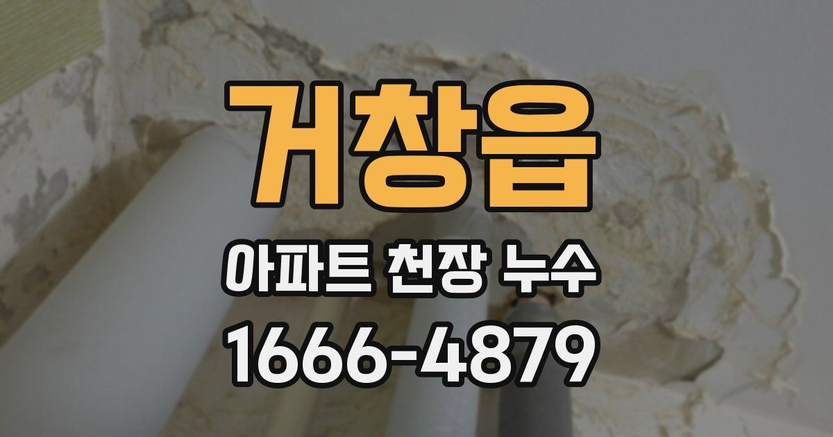 거창읍 아파트 천장 누수