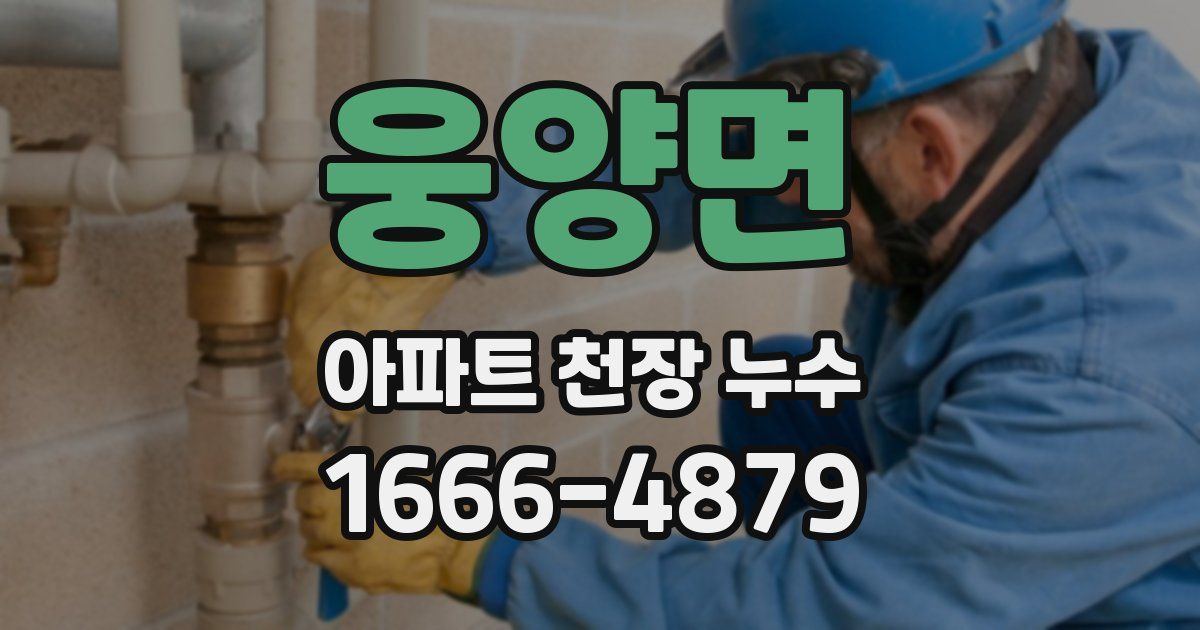 웅양면 아파트 천장 누수