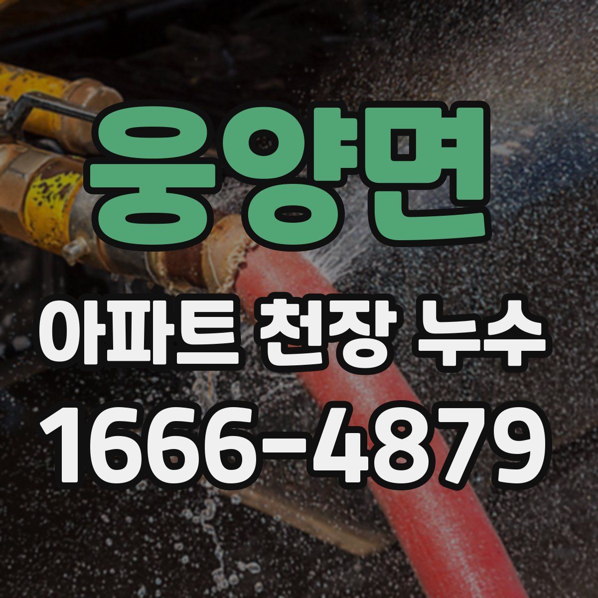 웅양면 아파트 천장 누수