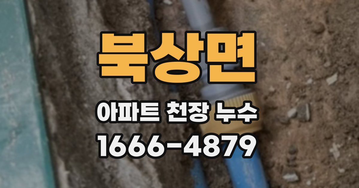 북상면 아파트 천장 누수