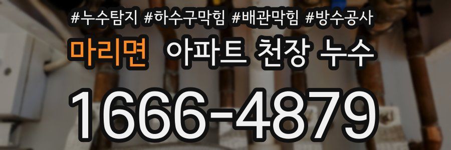 마리면 아파트 천장 누수