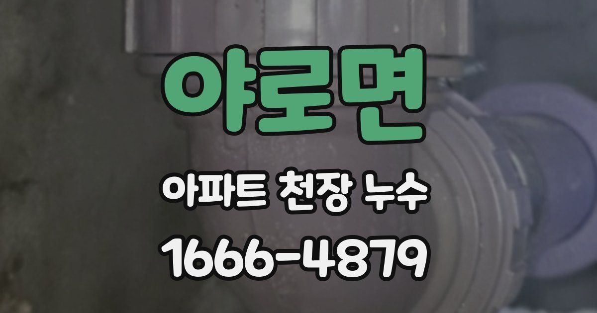 야로면 아파트 천장 누수