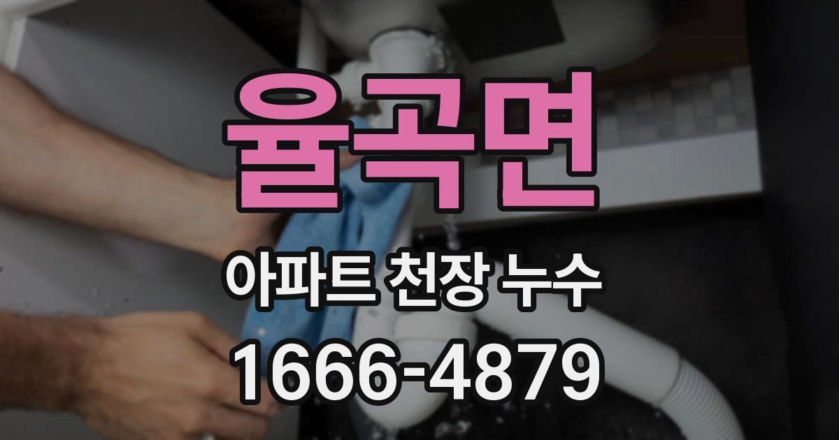 율곡면 아파트 천장 누수