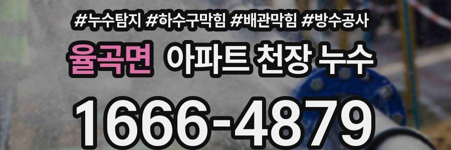 율곡면 아파트 천장 누수