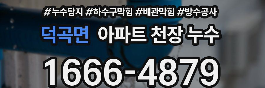덕곡면 아파트 천장 누수