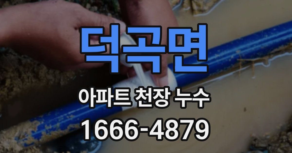 덕곡면 아파트 천장 누수