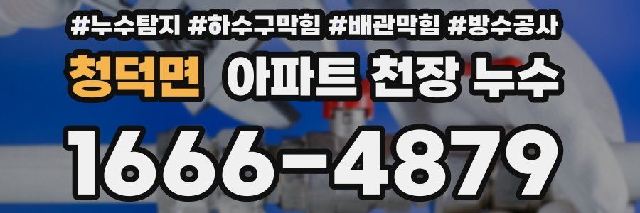 청덕면 아파트 천장 누수