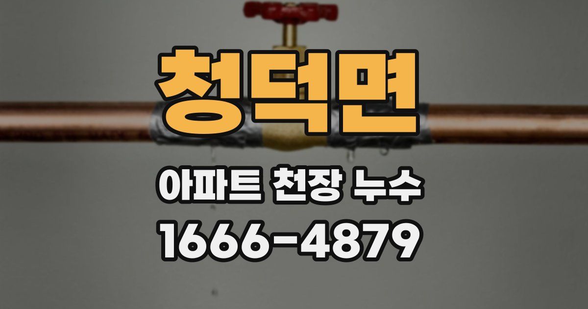 청덕면 아파트 천장 누수