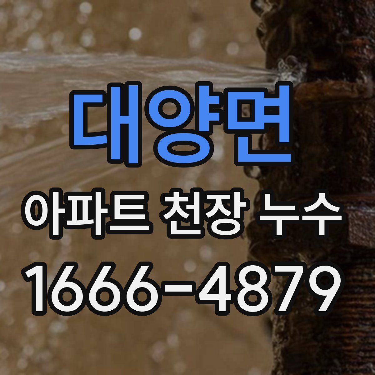 대양면 아파트 천장 누수