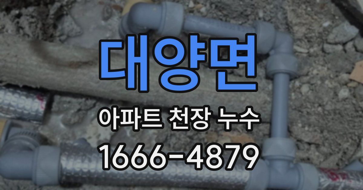 대양면 아파트 천장 누수