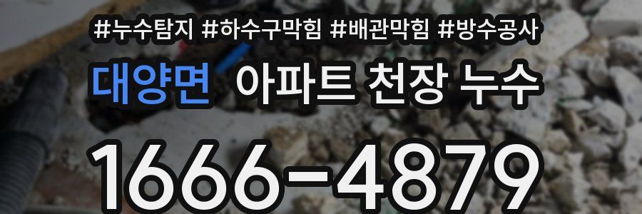 대양면 아파트 천장 누수
