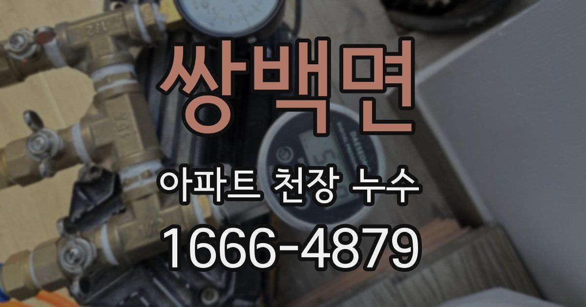 쌍백면 아파트 천장 누수