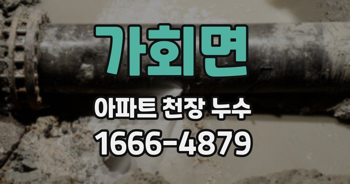 가회면 아파트 천장 누수