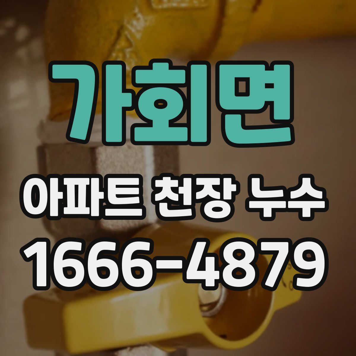 가회면 아파트 천장 누수