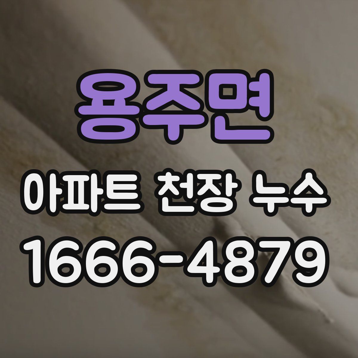 용주면 아파트 천장 누수