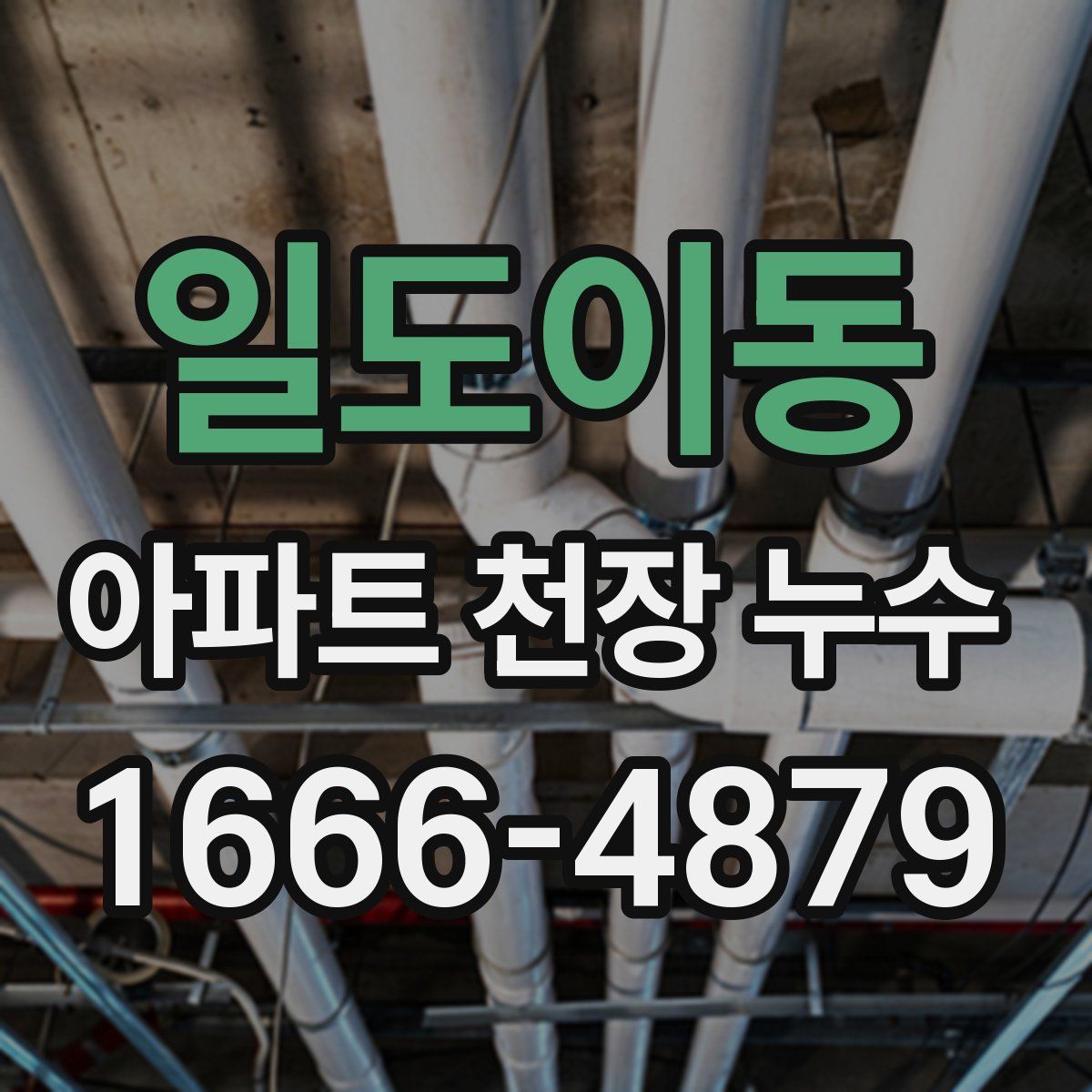 일도이동 아파트 천장 누수