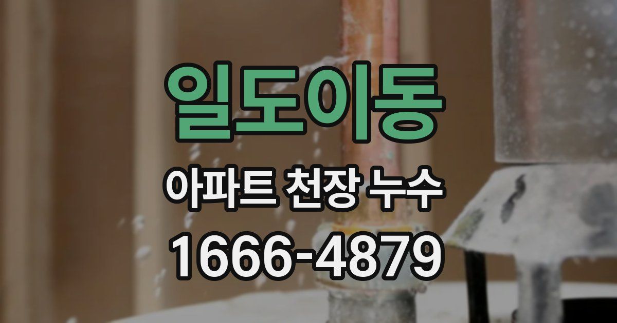 일도이동 아파트 천장 누수