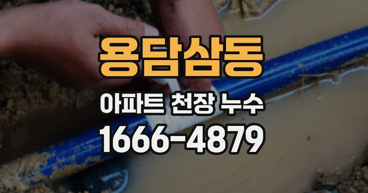 용담삼동 아파트 천장 누수