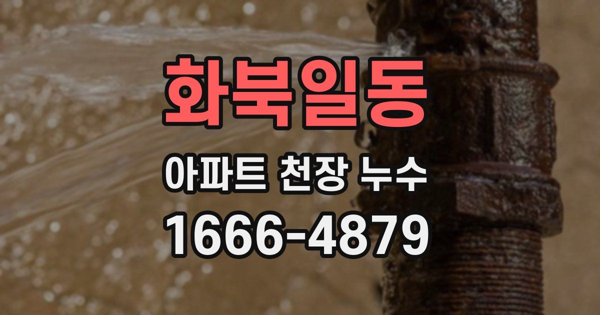 화북일동 아파트 천장 누수