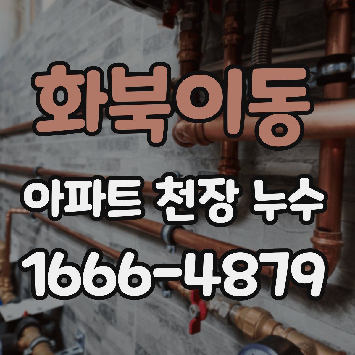 화북이동 아파트 천장 누수