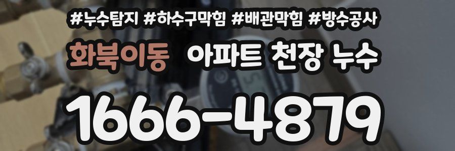 화북이동 아파트 천장 누수