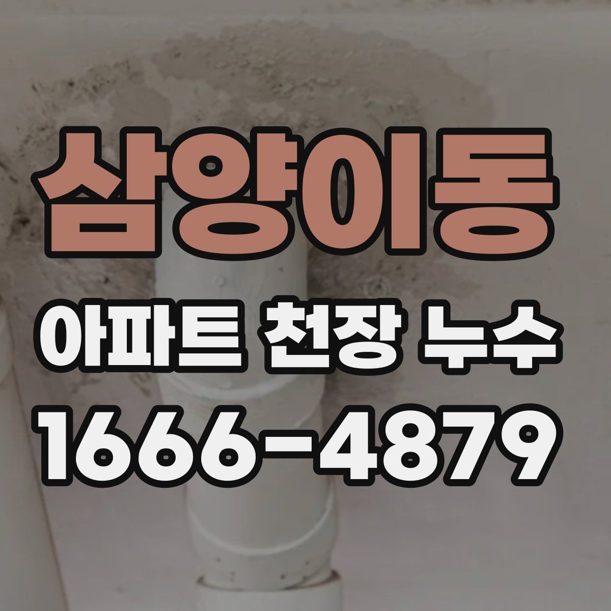 삼양이동 아파트 천장 누수