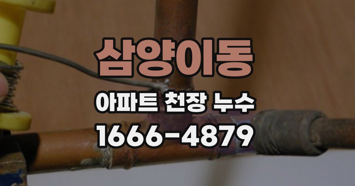 삼양이동 아파트 천장 누수